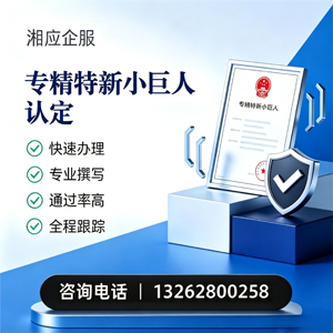 舟山专精特新小巨人申报服务