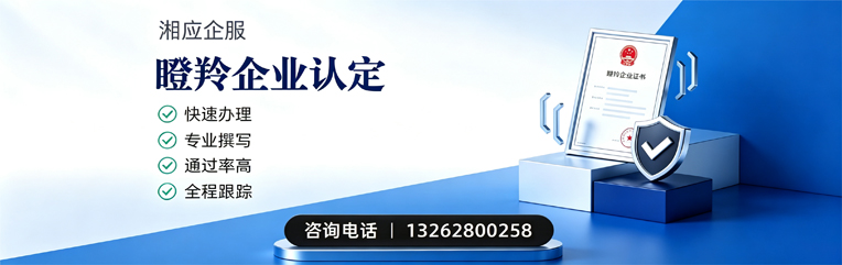 舟山瞪羚企业认定申报服务