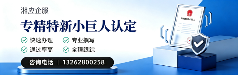 舟山专精特新小巨人申报服务